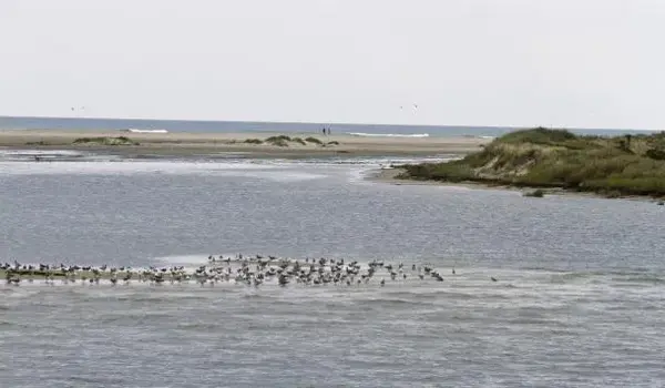 ola-travel-hotel-The Inn on Pamlico Sound