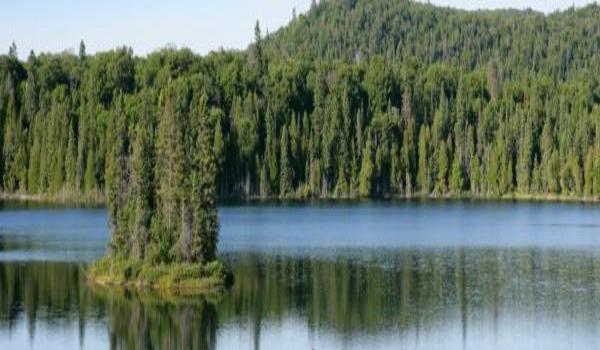 ola-travel-hotel-Minocqua Lake Inn