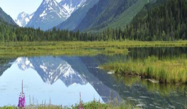 ola-travel-hotel-Soldotna Inn