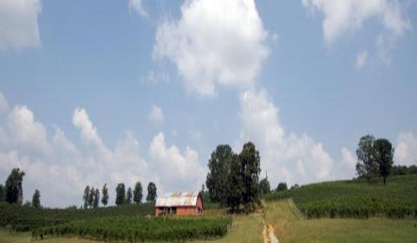 ola-travel-hotel-M Star Hotel Dahlonega