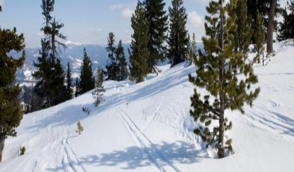 ola-travel-hotel-Alpenparks Resort Wald im Pinzgau