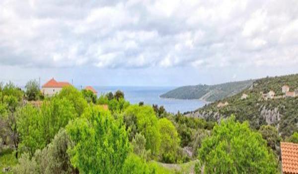 ola-travel-hotel-Villa Aloha