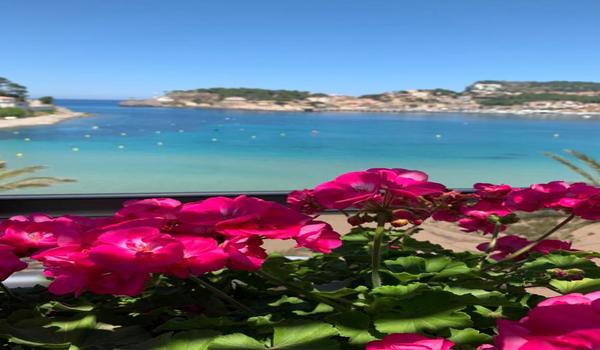 ola-travel-hotel-Hotel Los Geranios