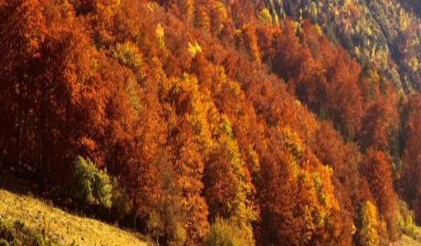 ola-travel-hotel-Hotel Rural La Casa de La Marquesa