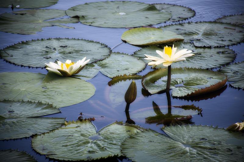 Top 5 Hotels in Vitória, Brazil