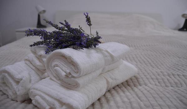 ola-travel-hotel-Guesthouse Cezar