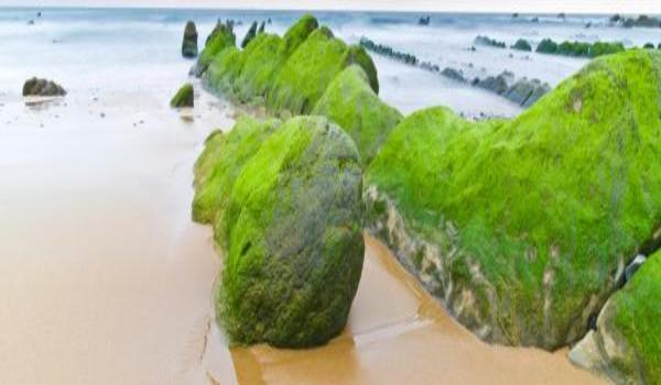 ola-travel-hotel-Hotel Oca Playa de Vigo