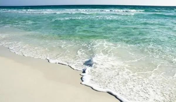 ola-travel-hotel-Seagrove Beach House