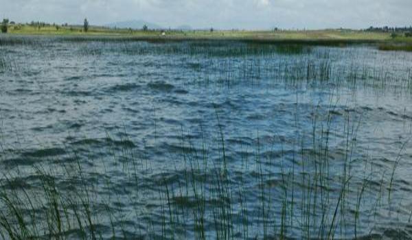 ola-travel-hotel-Coorg Jungle Camp Resort