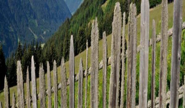 ola-travel-hotel-Hotel Krone