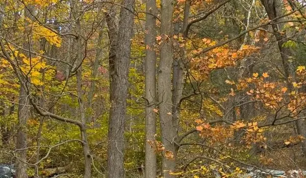 ola-travel-hotel-Super 8 by Wyndham Stroudsburg