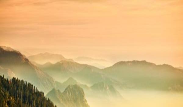 ola-travel-hotel-Hotel Charlotte