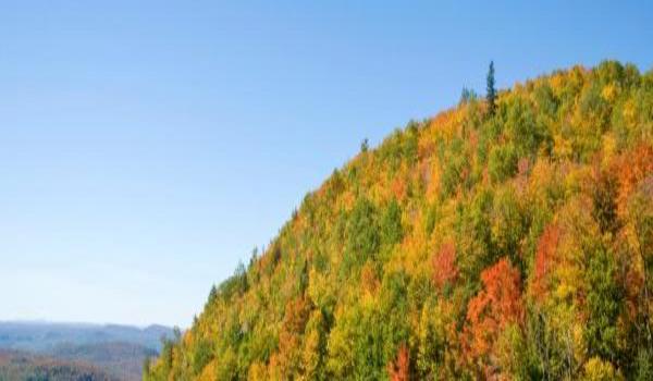 ola-travel-hotel-Chalet Lac-Superieur